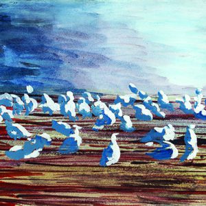Laminated Digital Print – A323-Sea-Gulls-watercolor-on-paper