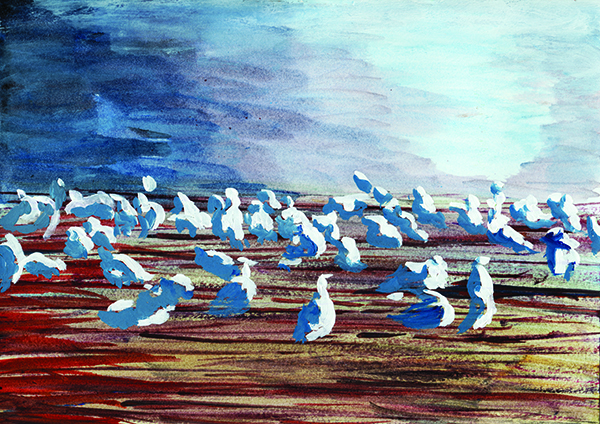 Laminated Digital Print – A323-Sea-Gulls-watercolor-on-paper
