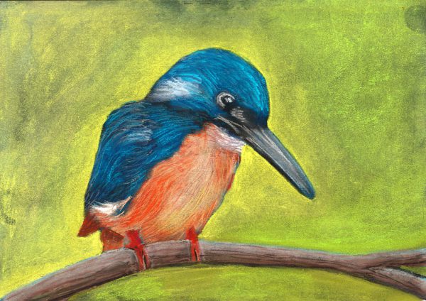 Laminated Digital Print – watercolor-on-paper – A409