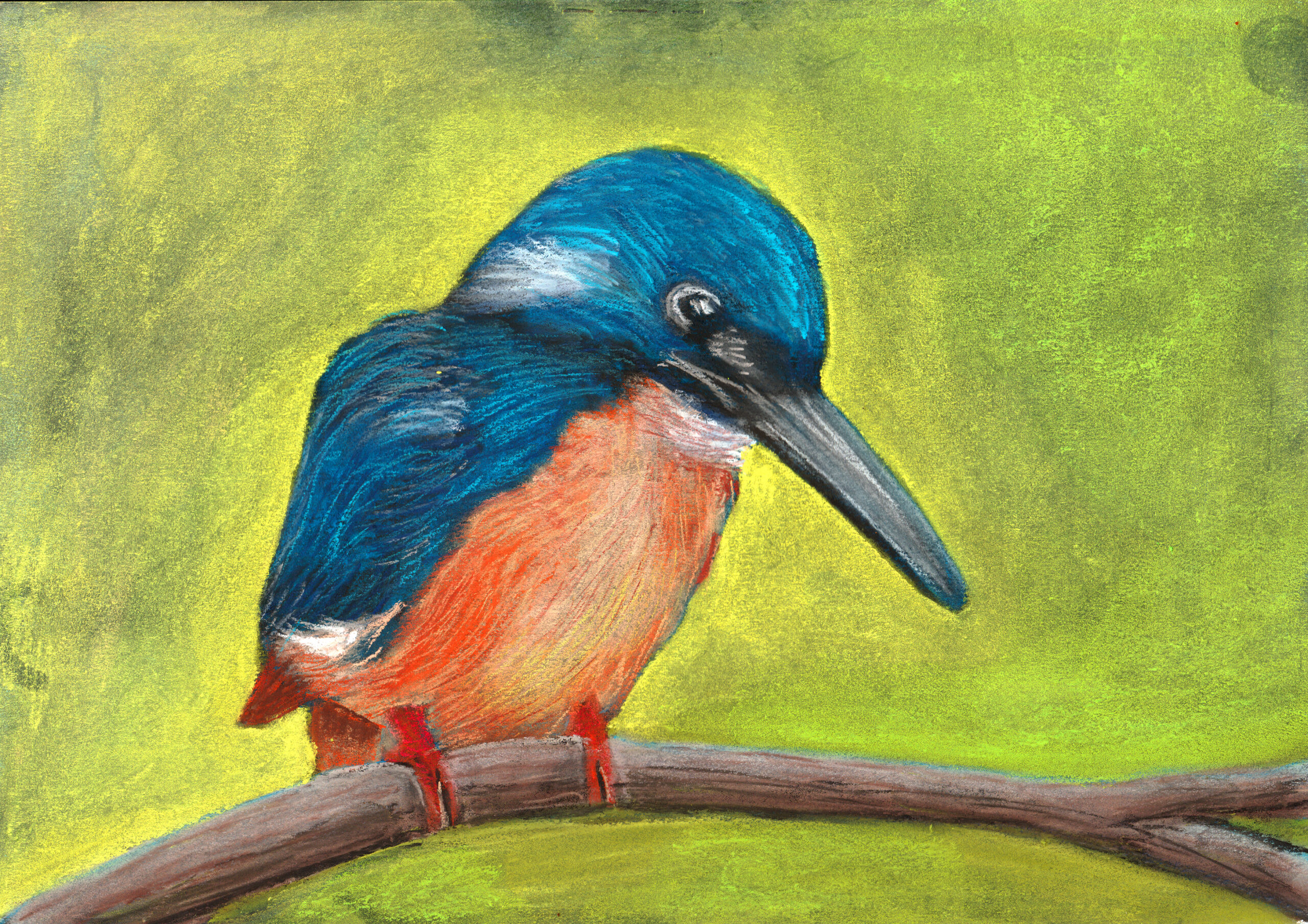 Laminated Digital Print – watercolor-on-paper – A409