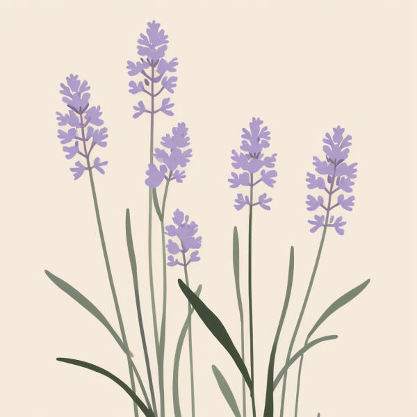 Coasters set of 6 – flowers-minimalist - Image 4